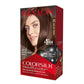 Revlon Color Silk Nourishing Hair Color Cream