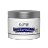 Silky Cool Whitening Radiance Facial Mud Mask - Brightening, Detoxifying, and Skin Rejuvenating Formula 350ml